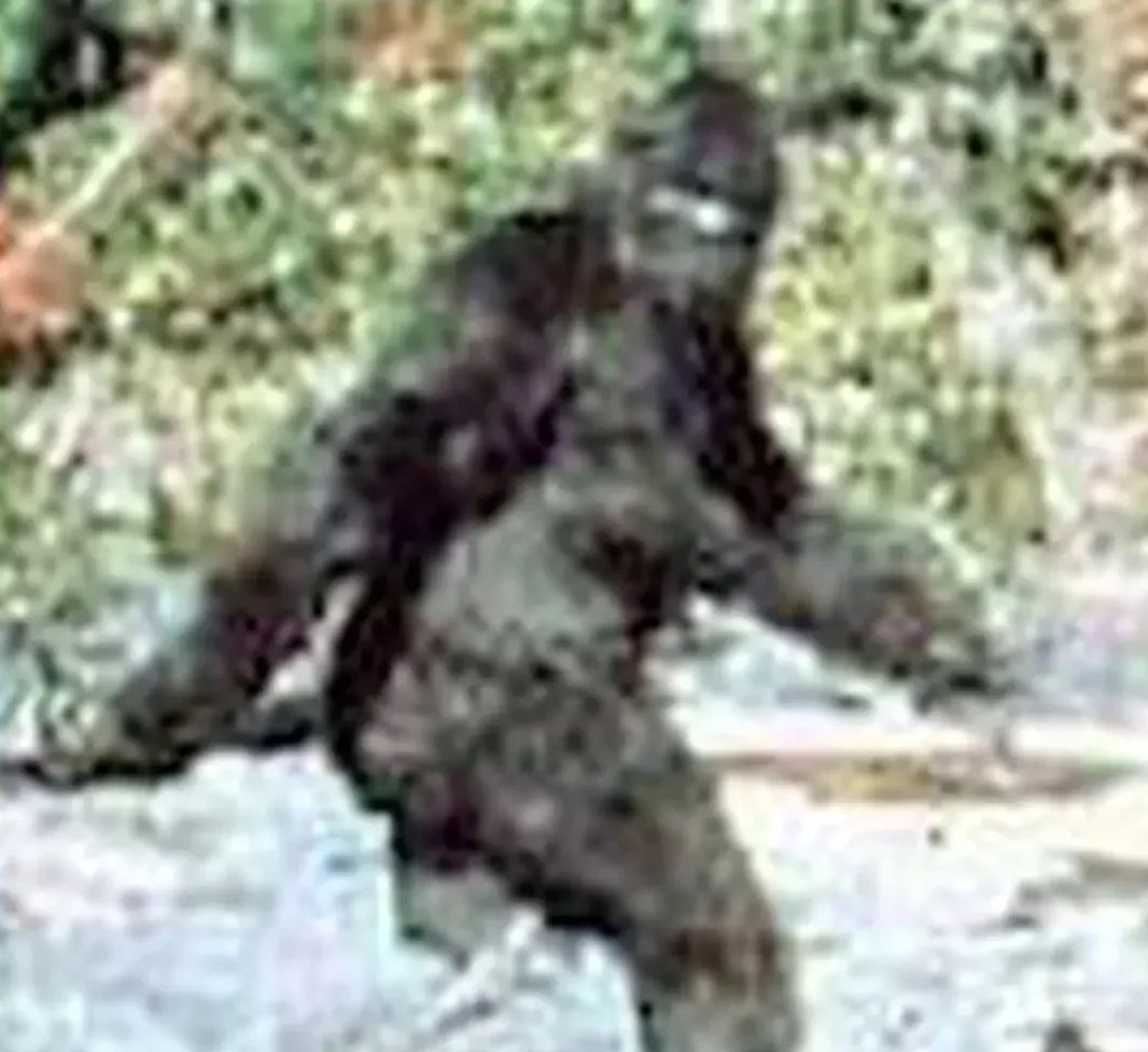 ME BIGFOOT! - Just added!