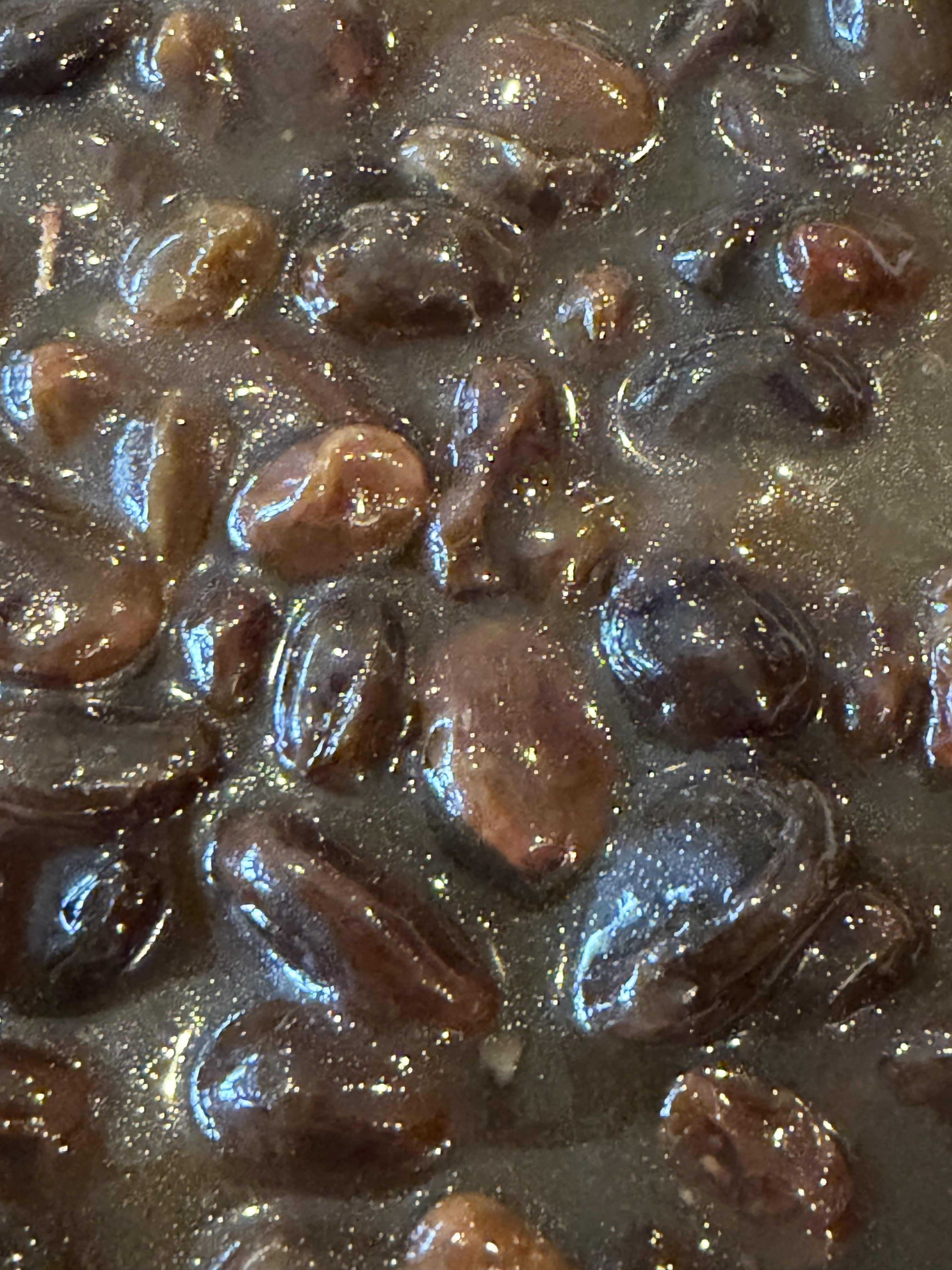 Let’s Give My Kid Raisin Pie For Christmas - NEW!